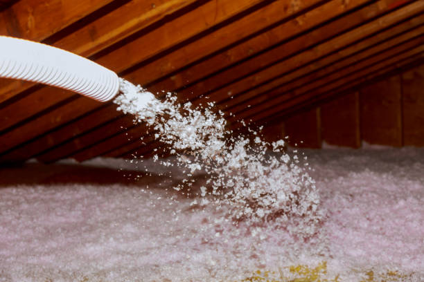 Insulation Repair Services in Rolling Hills Estates, CA