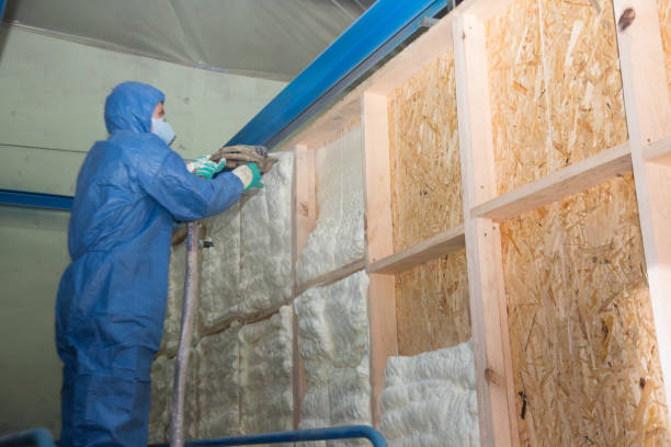 Best Insulation for New Construction  in Rolling Hills Estates, CA